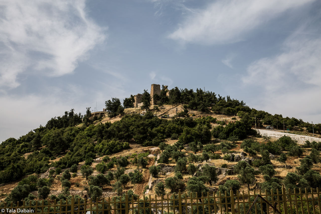 Ajloun castle