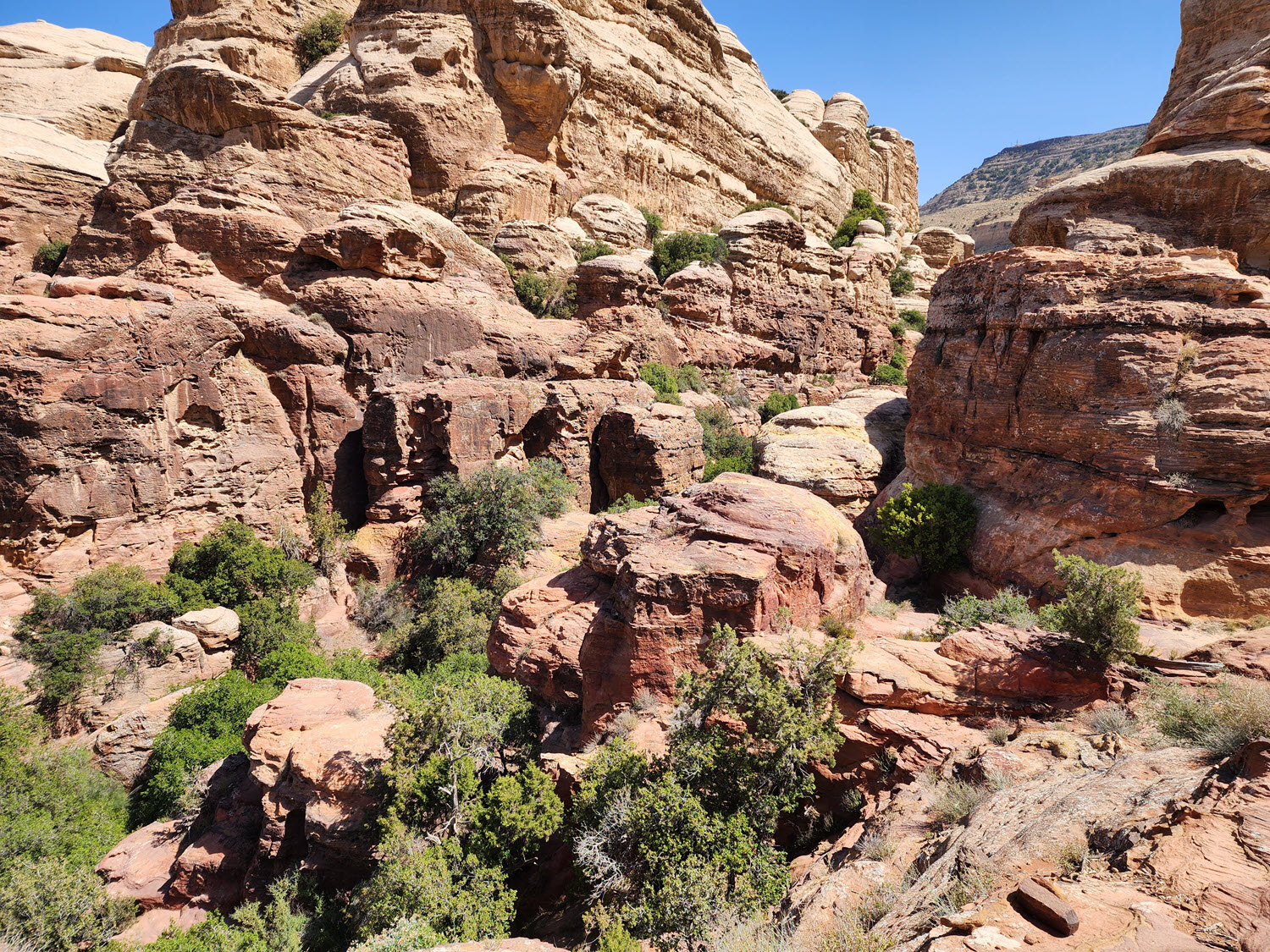 Dana Biosphere Reserve 1