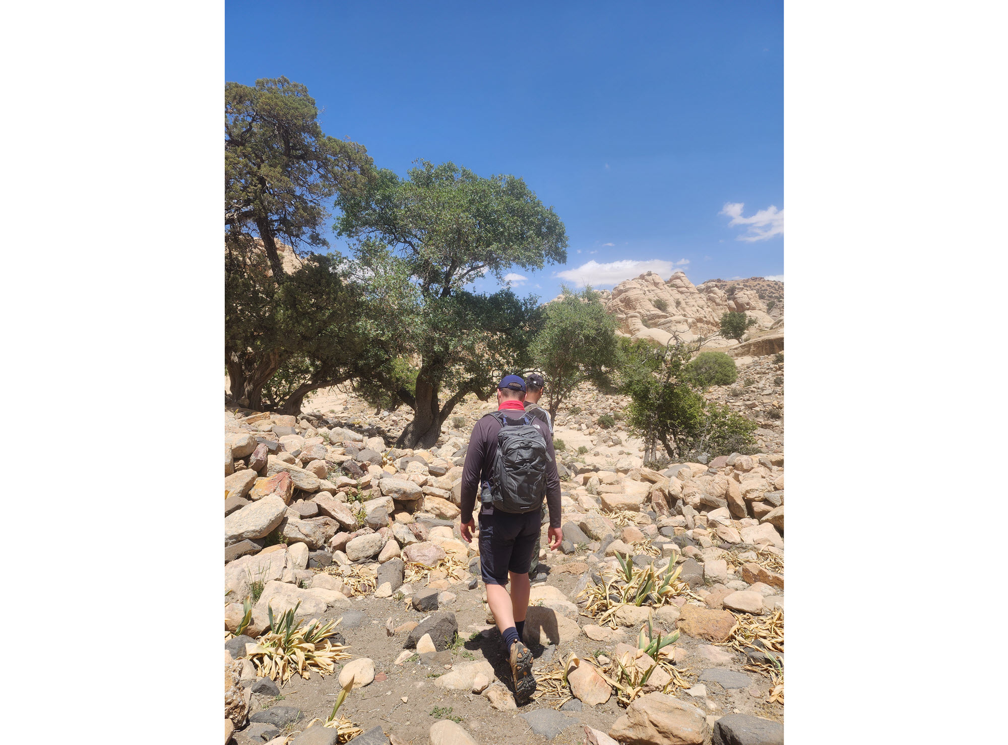 Dana Biosphere Reserve 2