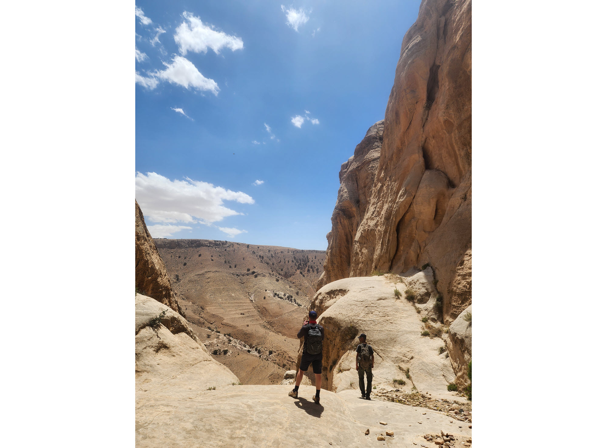 Dana Biosphere Reserve 3