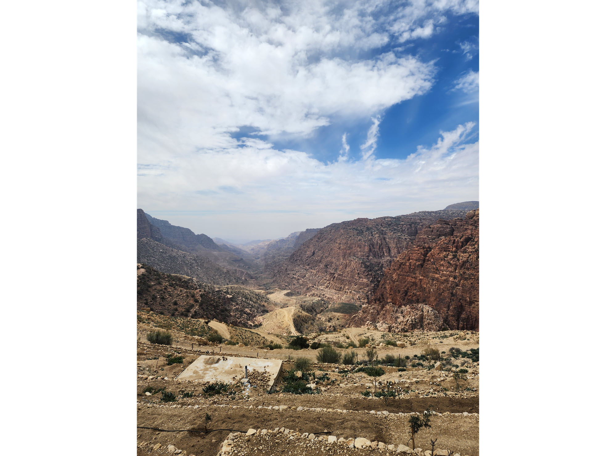 Dana Biosphere Reserve 5