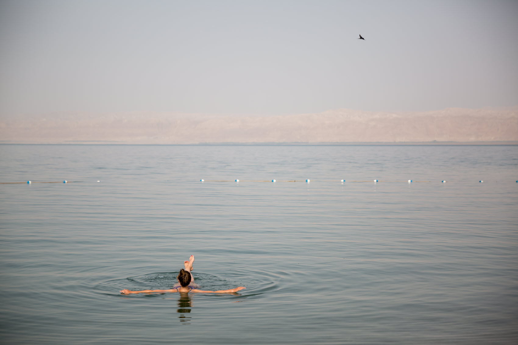 Bike ride from Madaba to Dead Sea 8