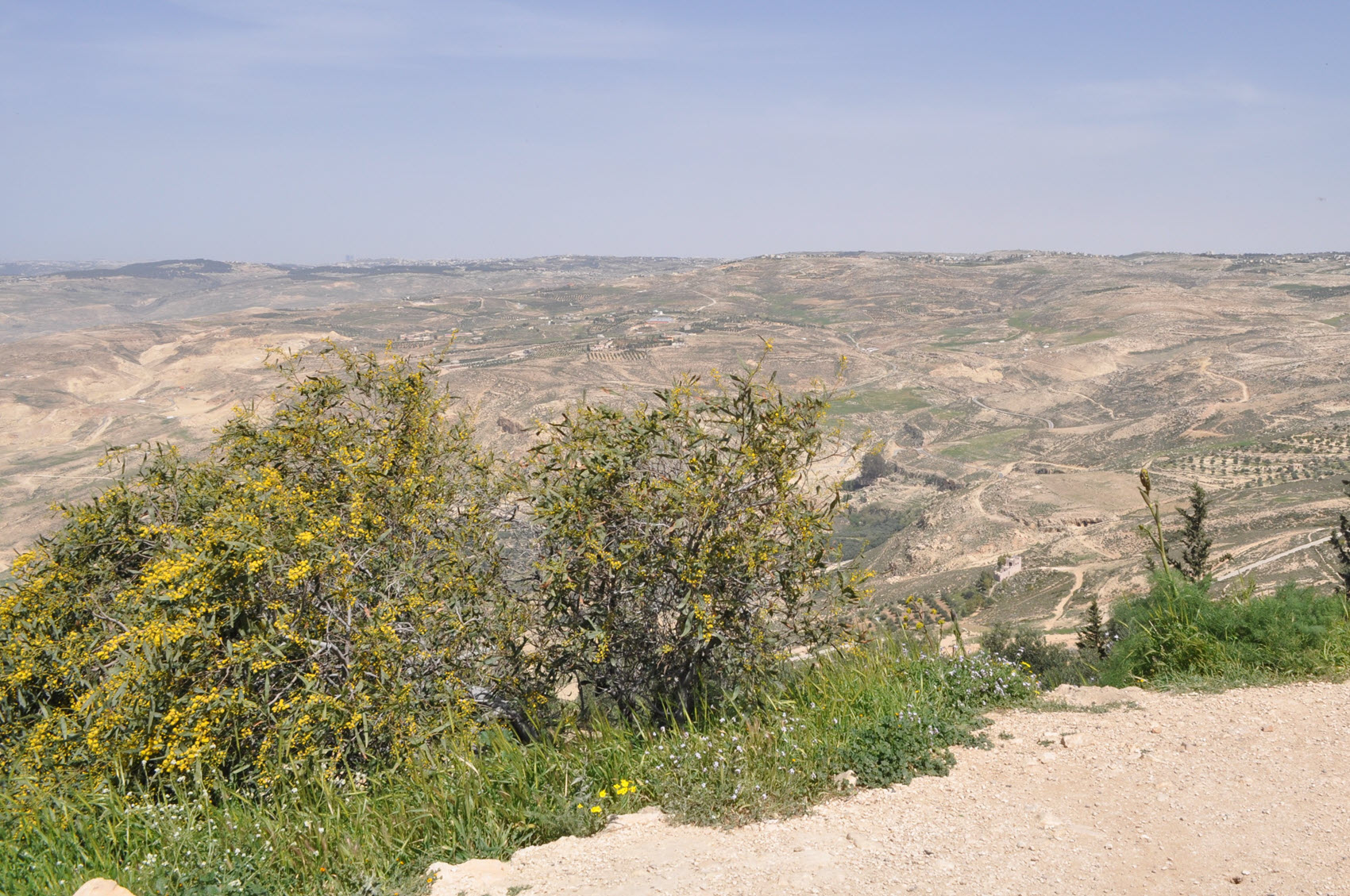 Madaba & Mount Nebo with Mosaic Making 7