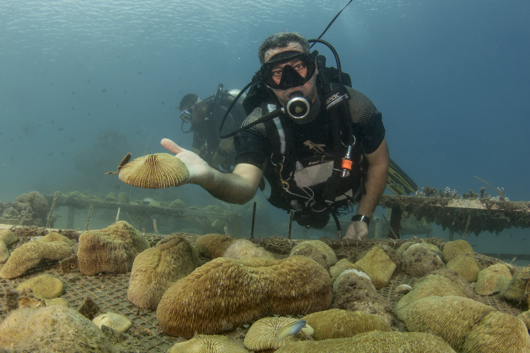 Padi Open Water Diver Certification v1 1