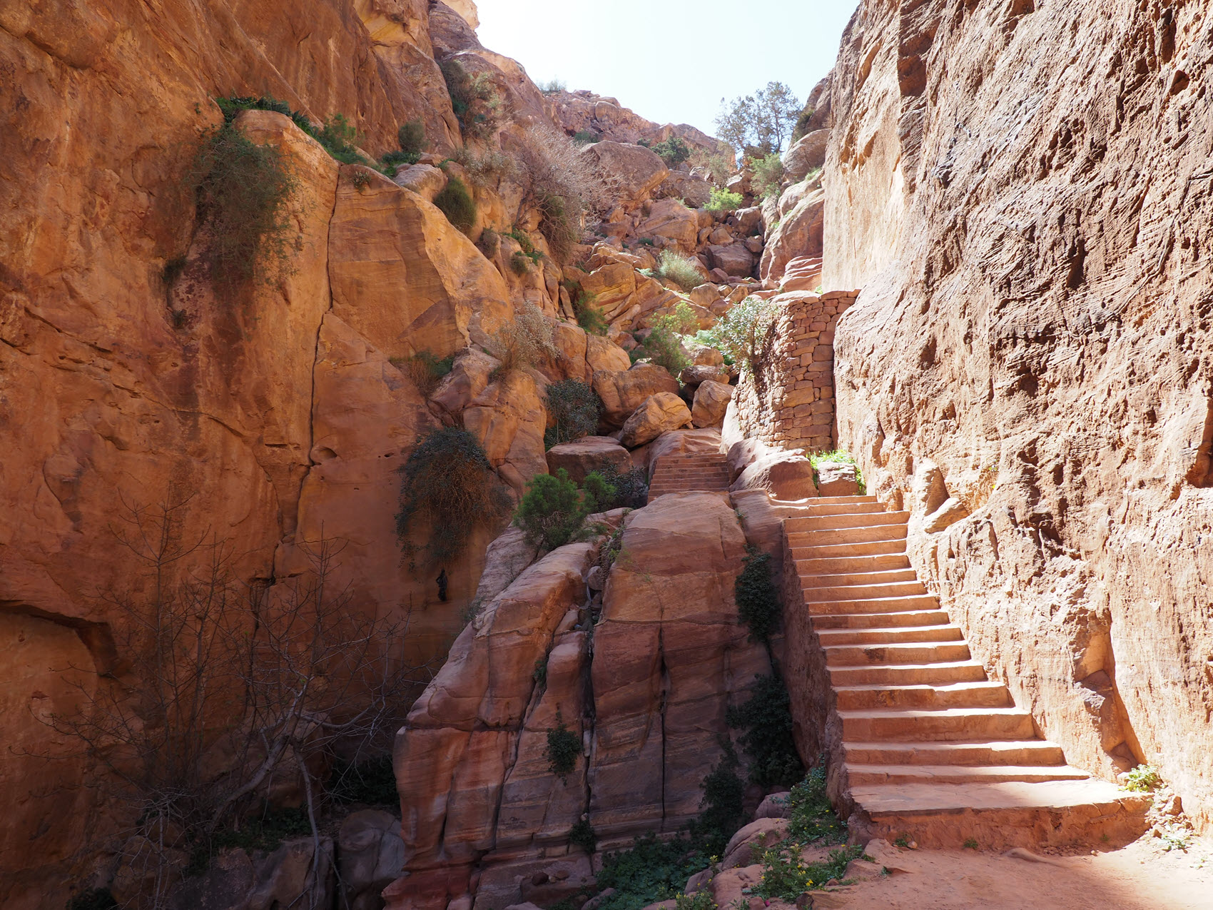 Trip to Petra and Aqaba 5
