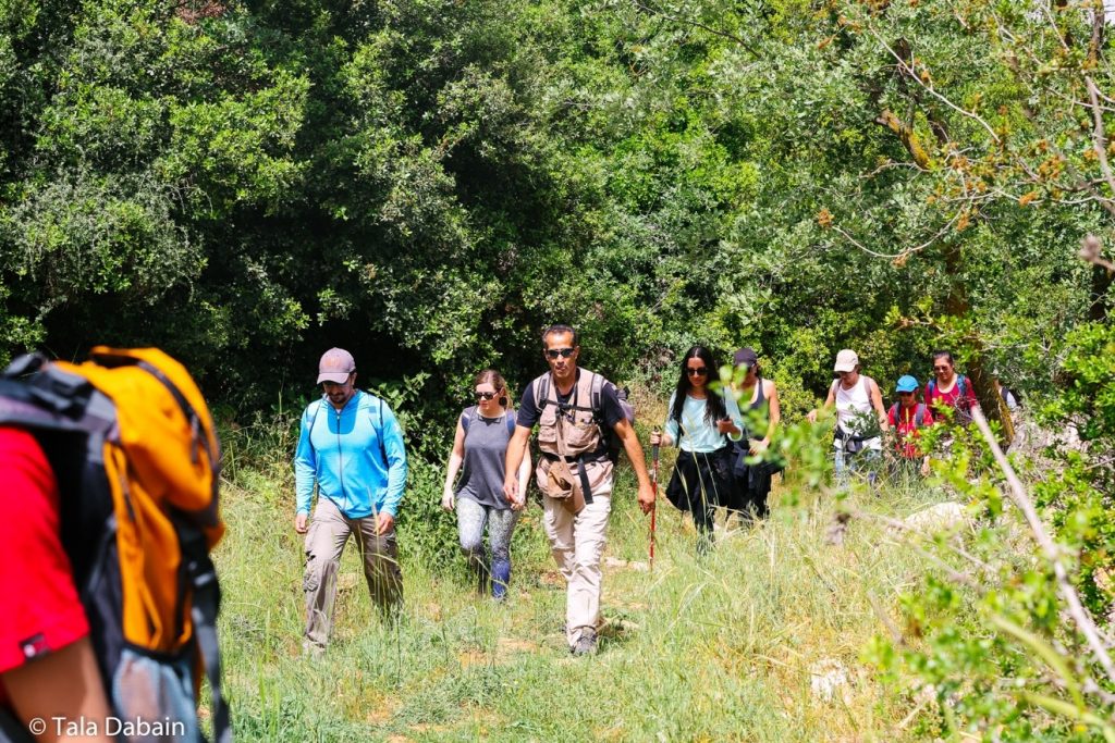 Zubia Forest Hike 1