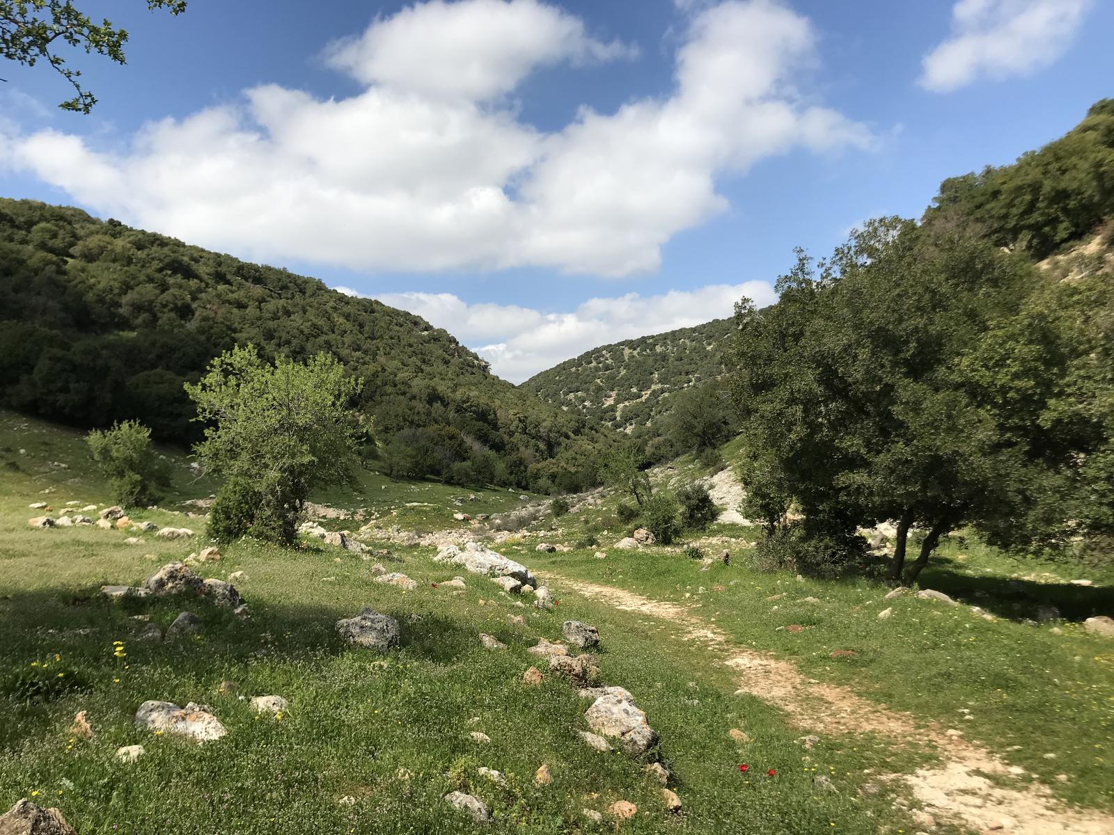Zubia Forest Hike 2