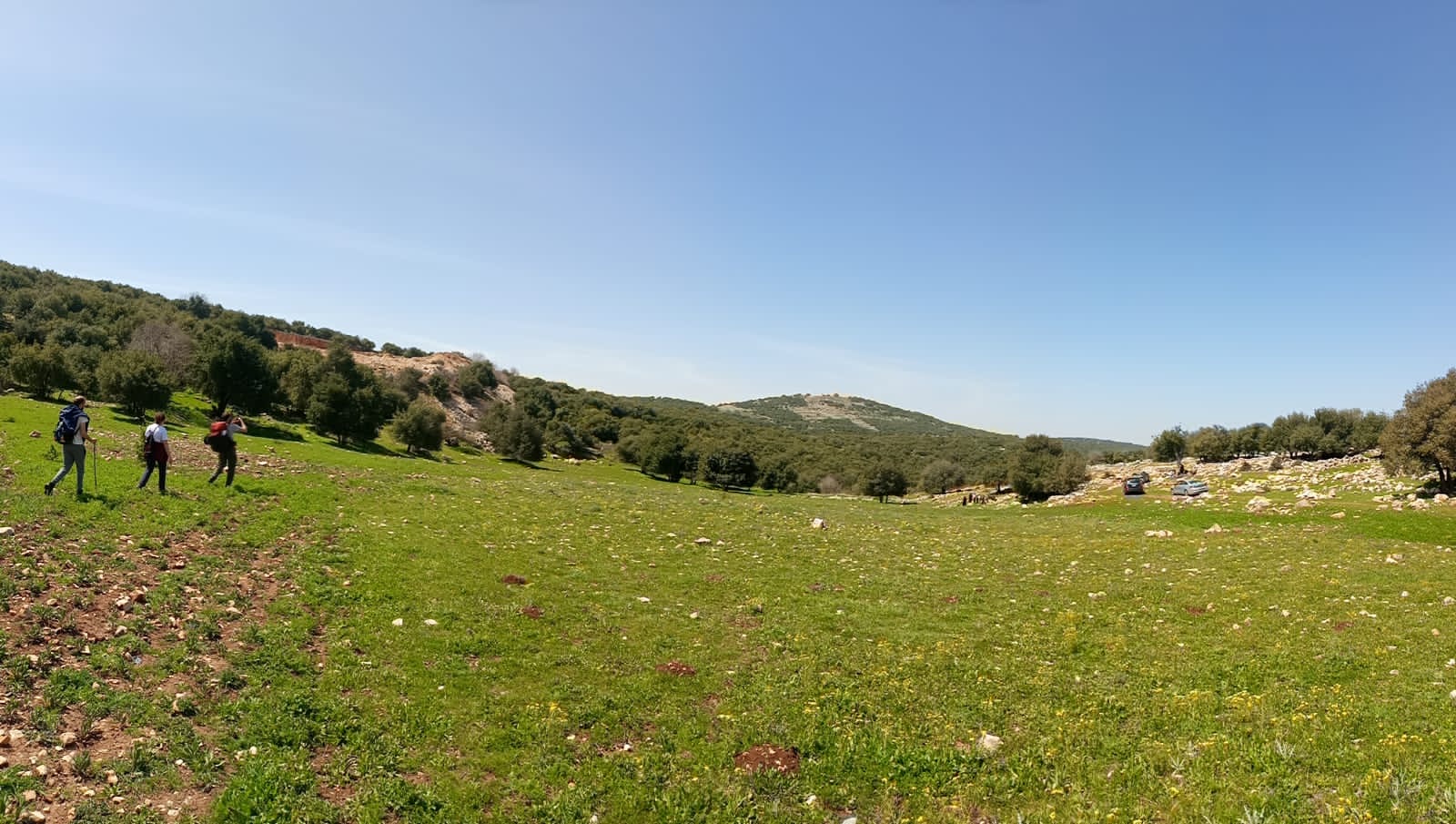 Zubia Forest Hike 4
